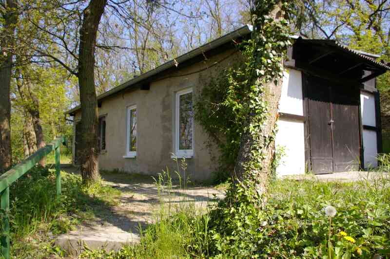 Das Bild zeigt ein Haus im Wald